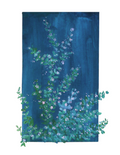 Abstract Flowers