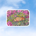 Floral Bear sticker
