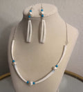 Turquoise bead dentalium set