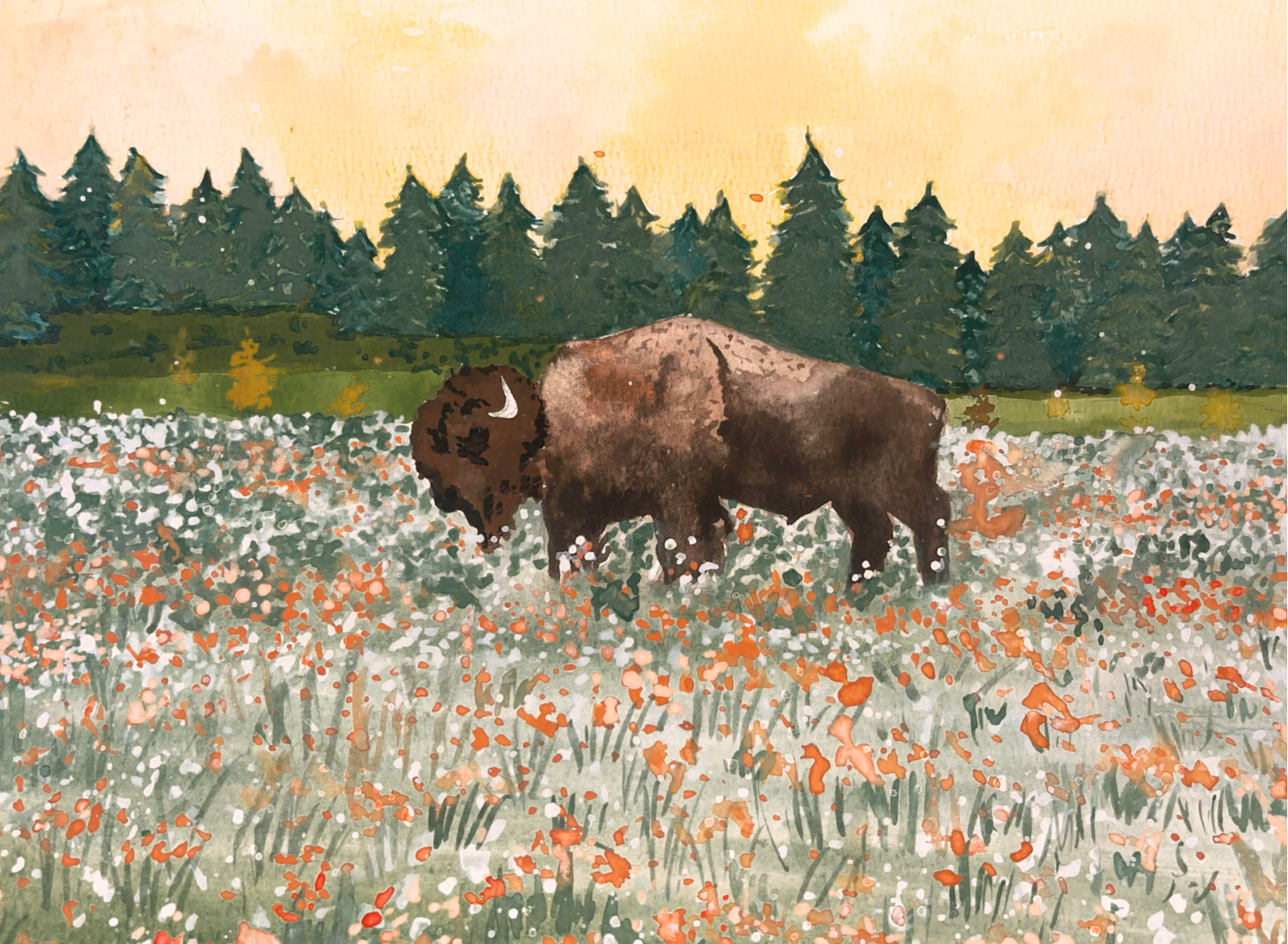 The OG Buffalo Print