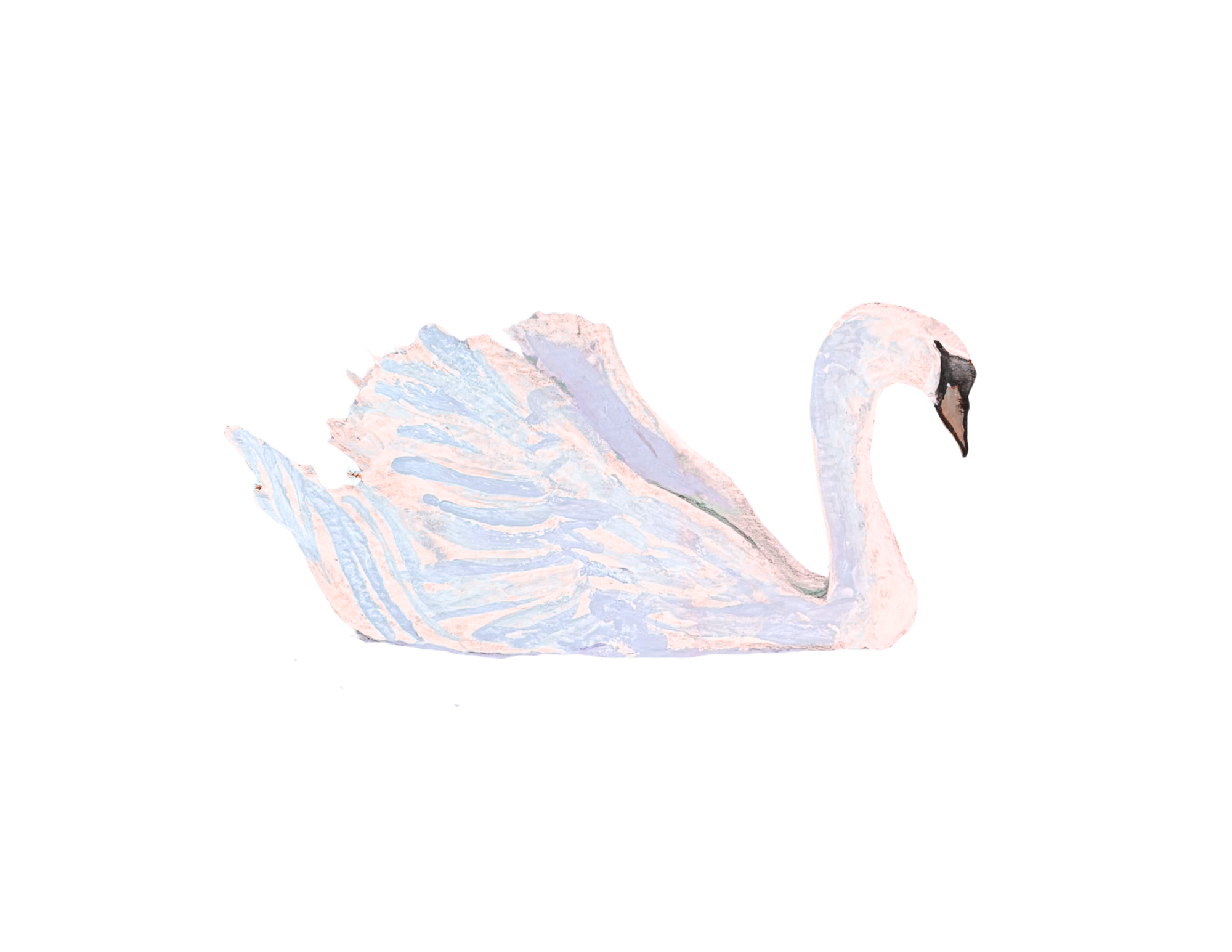White Swan