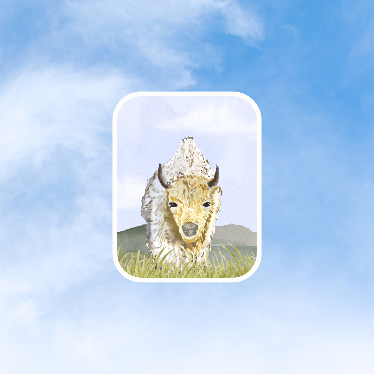 White Buffalo Sticker