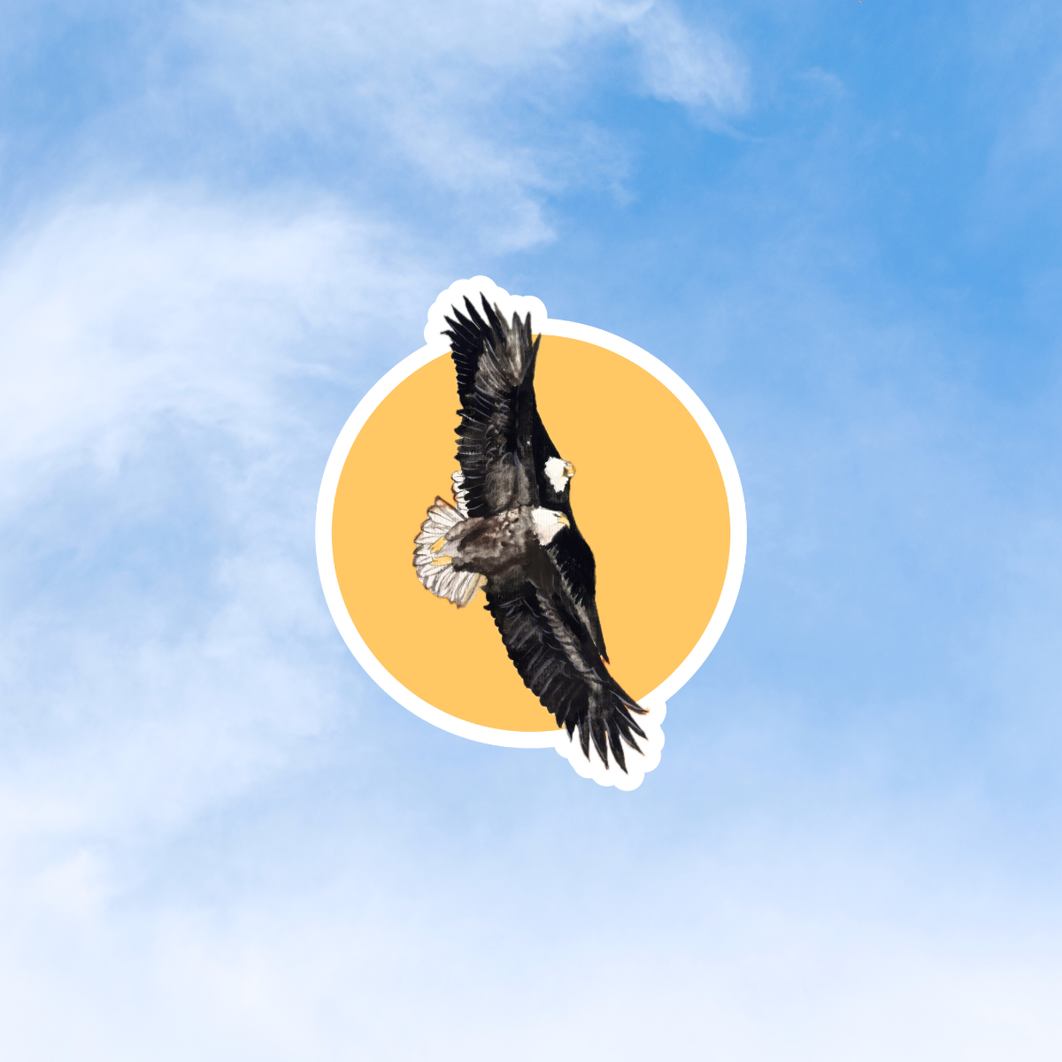 Painted Eagles Sticker