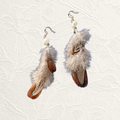 Pheasant Feather Earrings