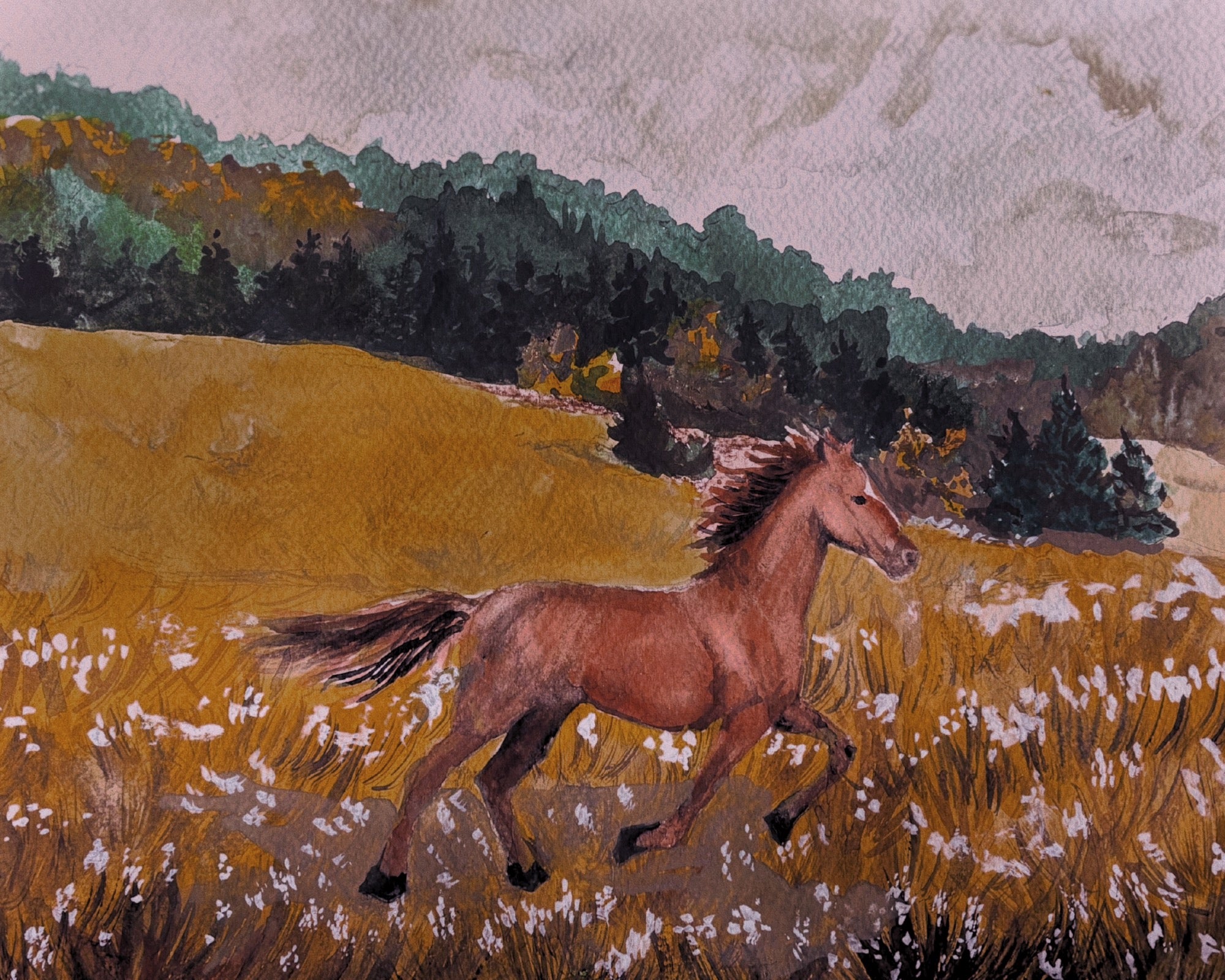 Heather Meadow Print